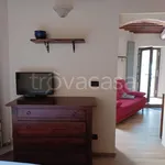 Rent 3 bedroom apartment of 70 m² in Pisa