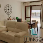 Rent 2 bedroom apartment of 60 m² in Sabaudia