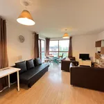 Rent 1 bedroom apartment in Dublin