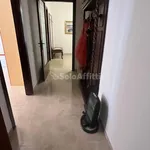 Rent 4 bedroom apartment of 140 m² in Pescara