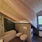 Rent 3 bedroom apartment of 100 m² in Turin