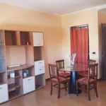 Rent 2 bedroom apartment of 50 m² in L'Aquila