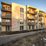 Rent 1 bedroom apartment in Hodonín