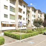 Rent 2 bedroom apartment of 63 m² in Arezzo