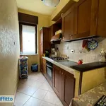 Rent 2 bedroom apartment of 45 m² in Turin