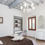 Rent 1 bedroom apartment in Florence