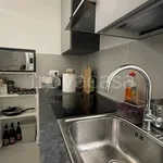 Rent 1 bedroom apartment of 40 m² in Torino