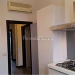 Rent 3 bedroom apartment of 80 m² in Modena