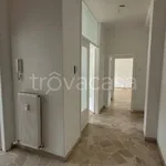 Rent 3 bedroom apartment of 90 m² in Bolzano