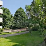 Rent 2 bedroom apartment of 45 m² in Monza