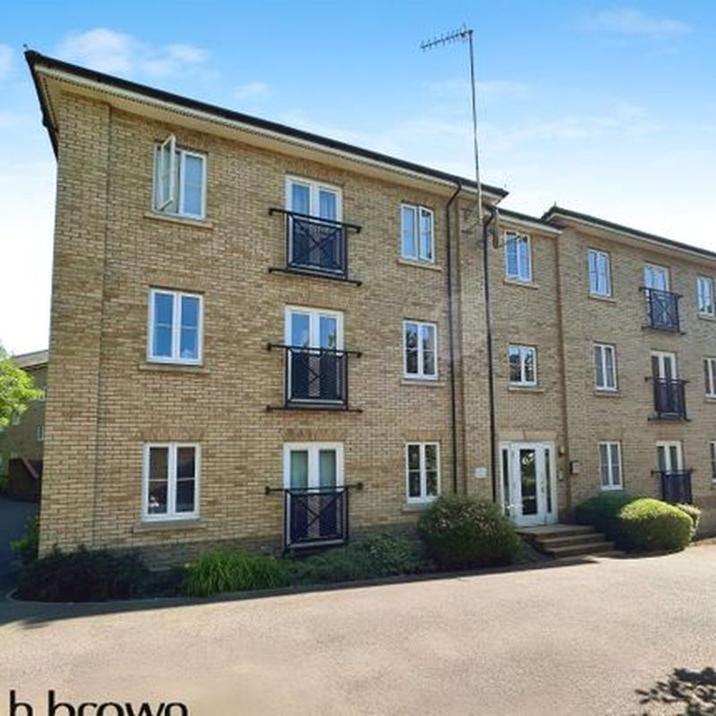 Flat to rent in Bradford Drive, Colchester CO4 Hornestreet