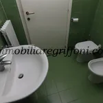 Rent 2 bedroom apartment of 50 m² in Bologna