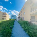 Rent 4 bedroom apartment of 1 m² in Reinach