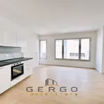 Rent 3 bedroom apartment of 80 m² in Padova