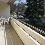 Rent 2 bedroom apartment of 68 m² in Bern