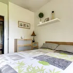 Rent 4 bedroom apartment in Barcelona