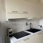 Rent 3 bedroom apartment of 100 m² in Turin