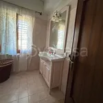 Rent 3 bedroom apartment of 100 m² in Bianco