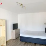 Rent 1 bedroom apartment of 42 m² in Rakovník