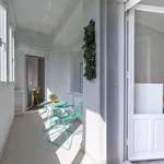 Rent 5 bedroom apartment in Madrid