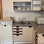 Rent 1 bedroom apartment of 44 m² in Capital City of Prague