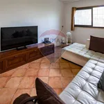 Rent 4 bedroom apartment of 100 m² in Altofonte