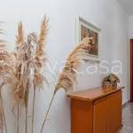 Rent 1 bedroom apartment of 65 m² in Borghetto Santo Spirito