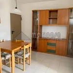 Rent 1 bedroom apartment of 50 m² in ferrara