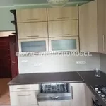 Rent 1 bedroom apartment of 35 m² in Zabrze