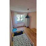 4 room house in Ottenbach (ZH), furnished, temporary