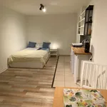 Rent 1 bedroom apartment of 42 m² in Kiel