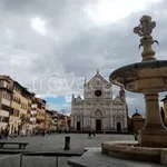 Rent 1 bedroom apartment of 45 m² in Firenze