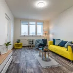 Rent 3 bedroom apartment of 65 m² in Ostrava