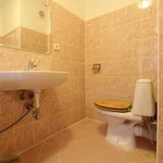 Rent 1 bedroom apartment in Brno