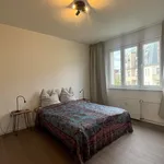 Miete 2 Schlafzimmer wohnung von 56 m² in Berlin