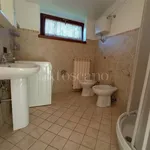 Rent 1 bedroom apartment of 35 m² in Frosinone