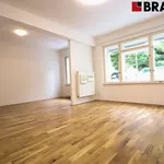 Pronajměte si 1 ložnic/e byt o rozloze 41 m² v Brno