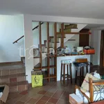 Rent 5 bedroom house of 180 m² in Chieri