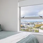 Rent 3 bedroom apartment in Auckland