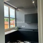 Rent 5 bedroom apartment of 120 m² in Padua