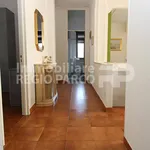 Rent 4 bedroom apartment of 100 m² in Torino