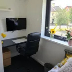 Rent 2 bedroom student apartment in Loughborough