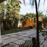 Rent 3 bedroom house of 526 m² in Mérida