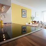 Rent 1 bedroom apartment of 33 m² in Graz