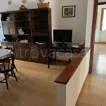 Rent 4 bedroom apartment of 90 m² in Sabaudia