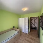 Rent 3 bedroom apartment of 70 m² in Каменица 1