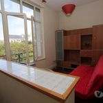 Appartement de 50 m² avec 3 chambre(s) en location à Nancy