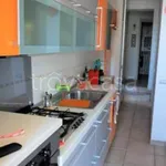 Rent 3 bedroom apartment of 60 m² in Porto San Giorgio