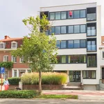 Rent 1 bedroom apartment in Kortrijk