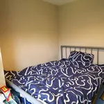 Rent 1 bedroom flat in Norwich